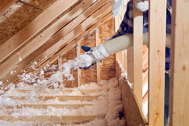 Best Blown-In Insulation in Petersburg, WV